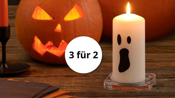 Zu den Produkten