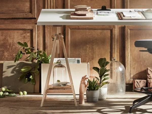 Bureau avec des livres, des plantes et des décorations dans une pièce rustique