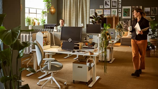 Bureau doucement ensoleillé avec plusieurs espaces de travail, de nombreuses plantes feuillues, des objets déco et des images artistiques au mur.