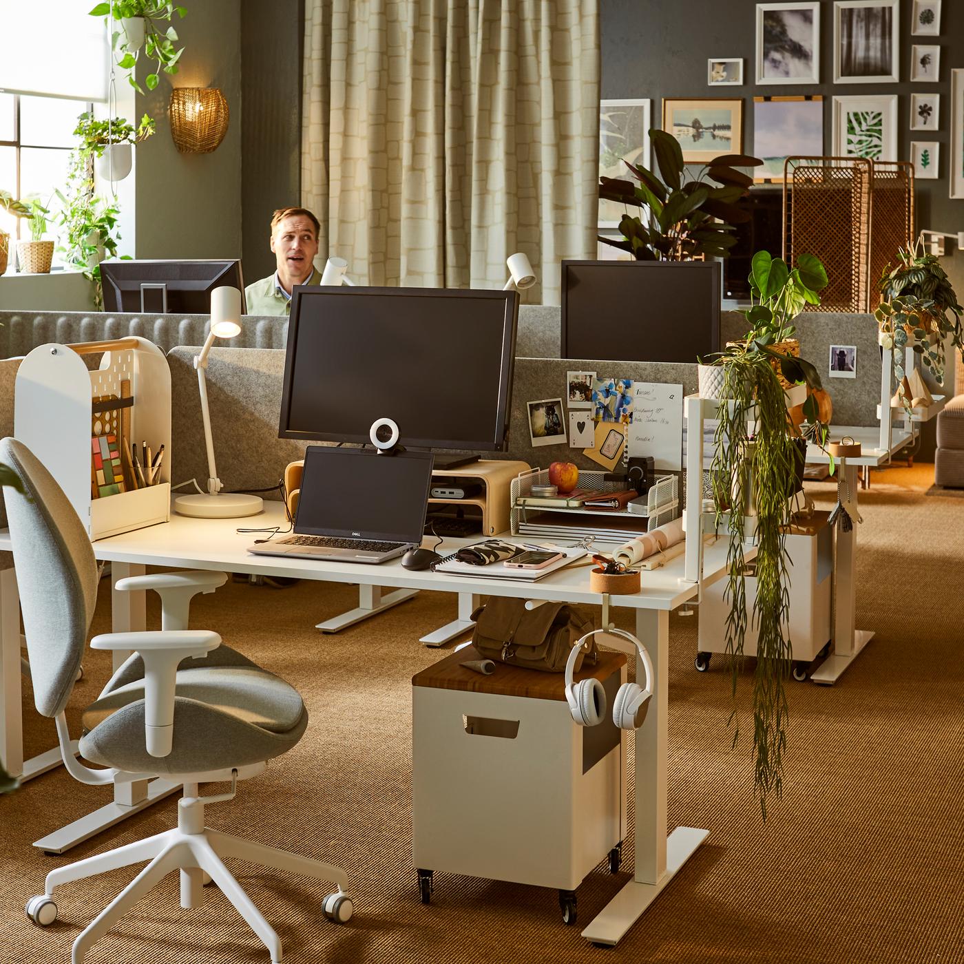 Bureau doucement ensoleillé avec plusieurs espaces de travail, de nombreuses plantes feuillues, des objets déco et des images artistiques au mur.