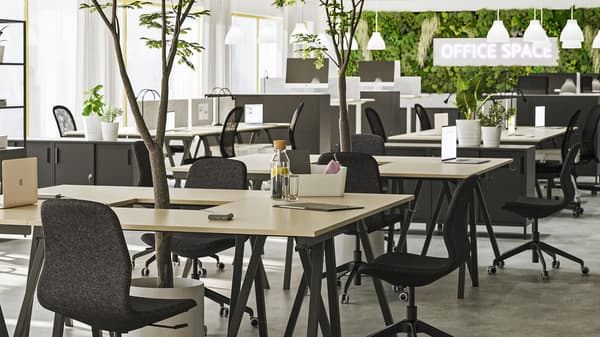 Bureaux et chaises les uns derrières les autres avec des arbustes passant au milieu de chaque bureau