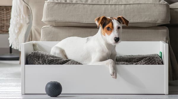 Meubles Et Accessoires Pour Animaux De Compagnie Ikea