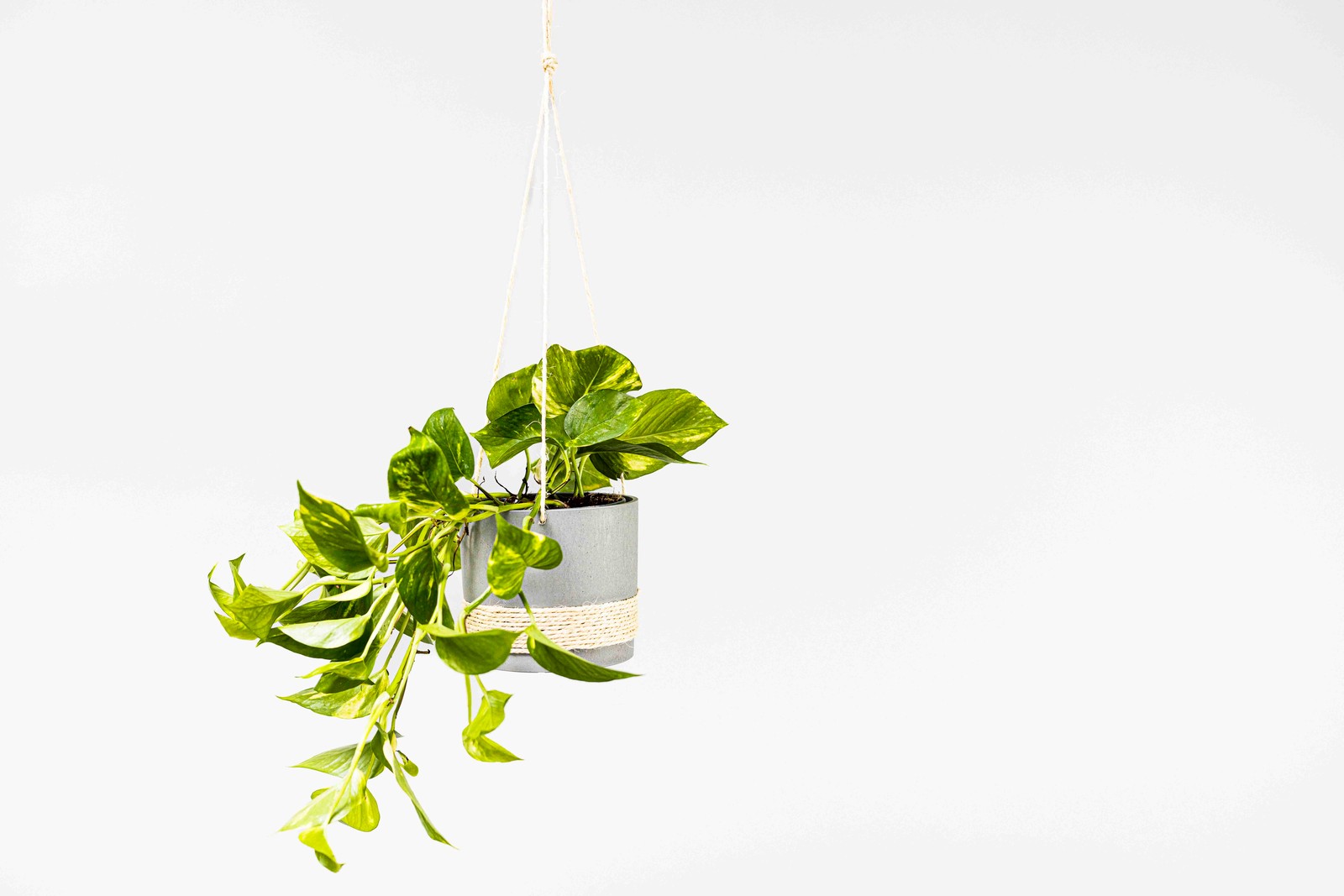 DIYPersonalisierte Blumenampel für Balkon & Garten IKEA Österreich