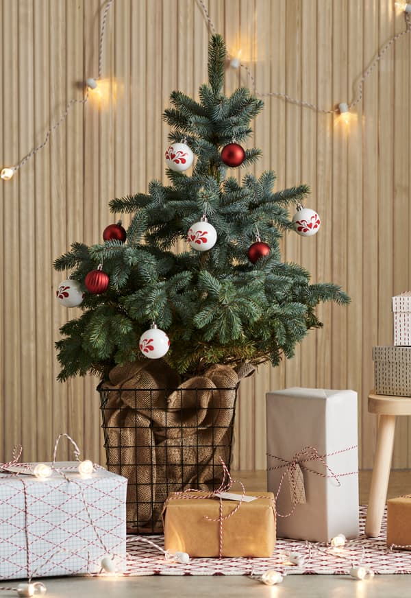 Árvore de natal dentro de um cesto de papéis com presentes à volta