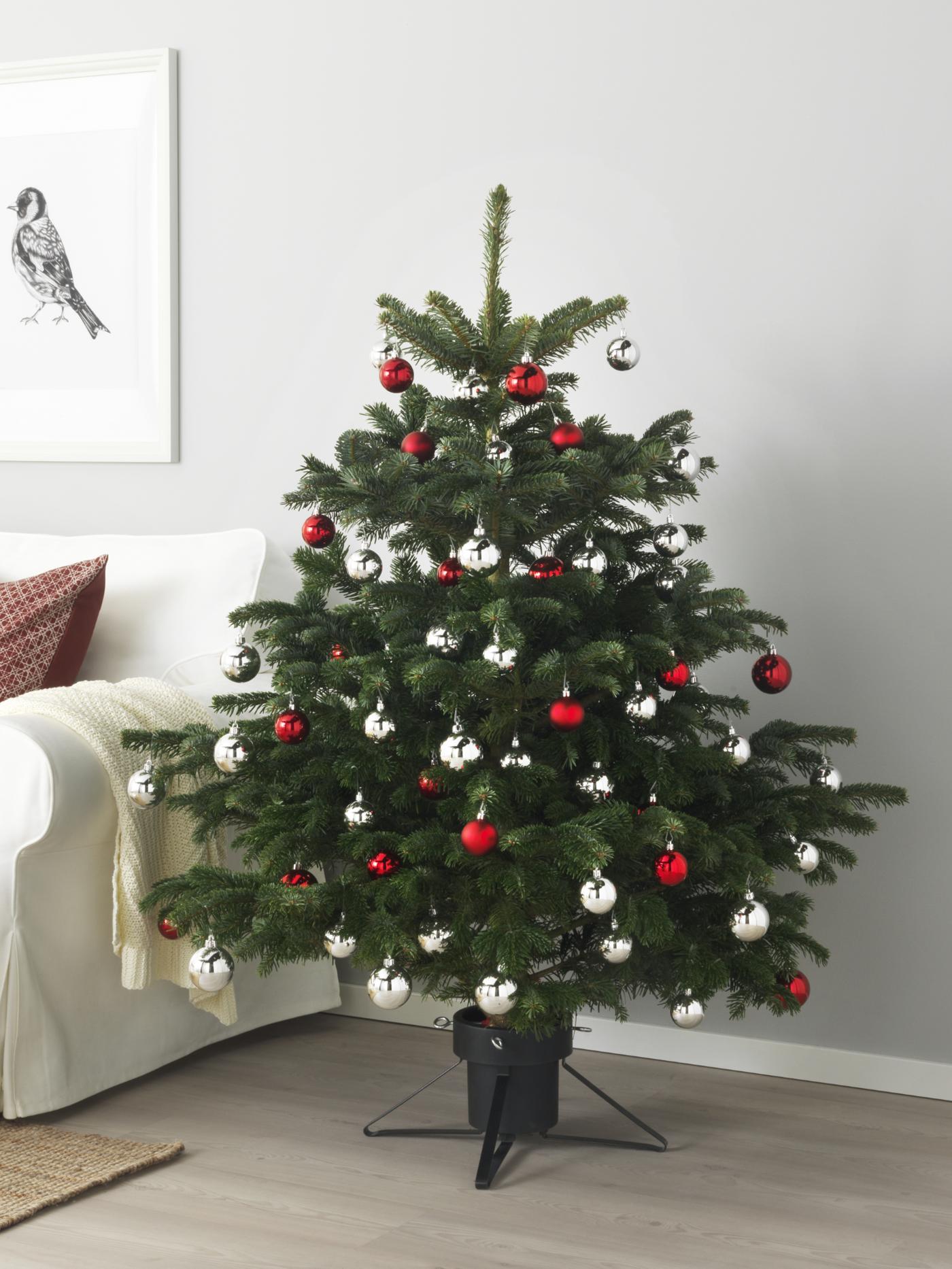 本物のもみの木のお手入れ方法｜IKEA【公式】 - IKEA