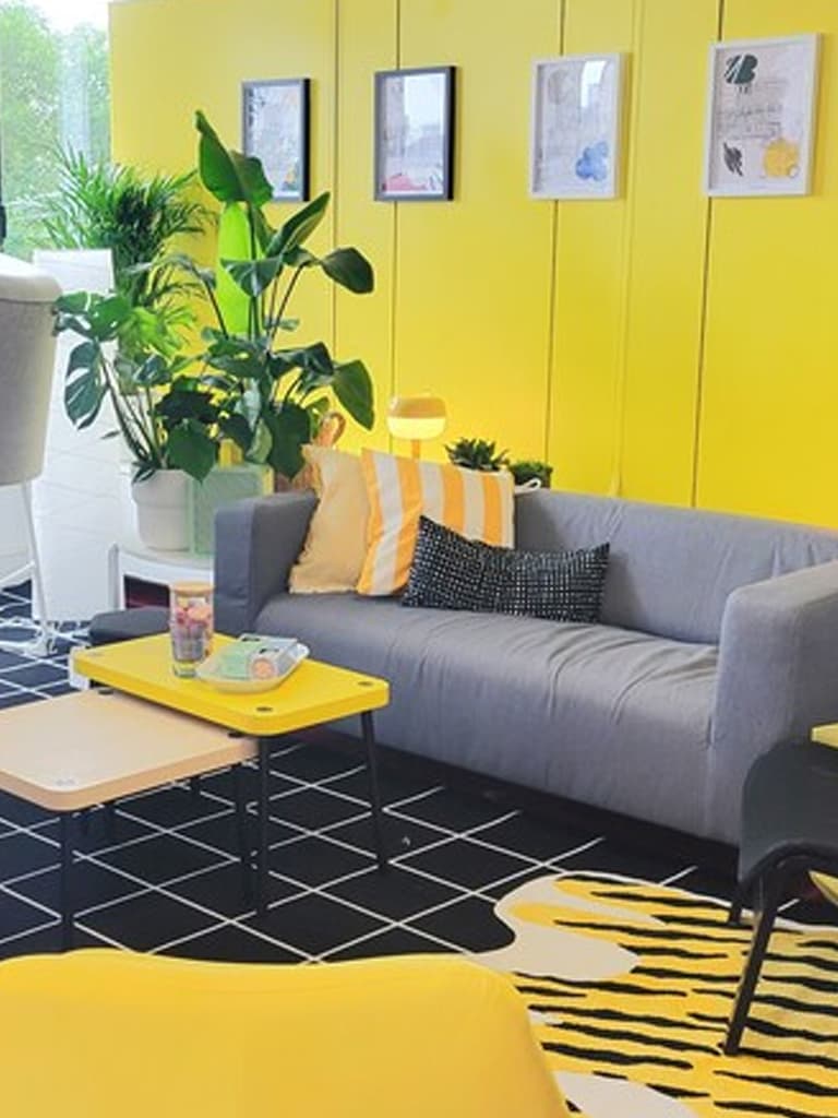 Canapé, tapis et table basse.