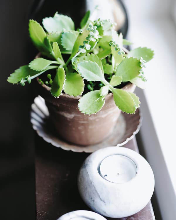 Candles and plants help stimulate creative thinking.