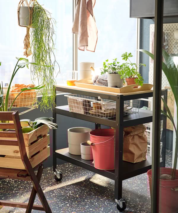 Carrello con rotelle pieno di piante e accessori da giardinaggio in una veranda illuminata dal sole.