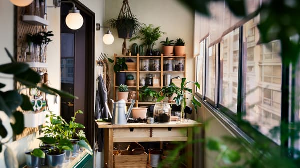 Carrello in betulla, scaffali in bambù, mobile e pannello portaoggetti con piante e articoli da giardinaggio - IKEA