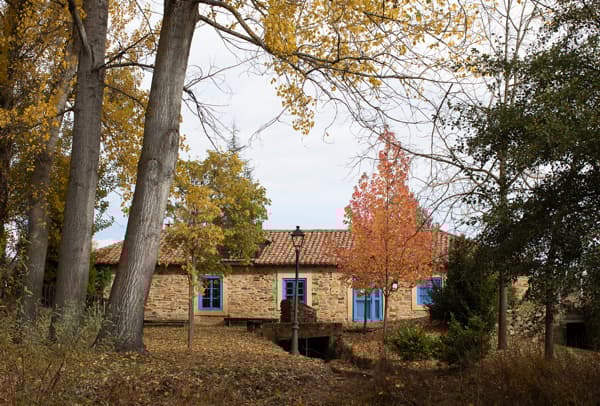 Casa de piedra con ventanas azules ubicada en un entorno natural con muchos árboles.