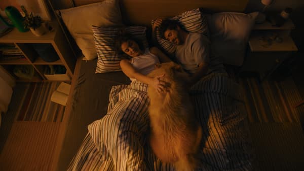 Casal e cão deitados na cama