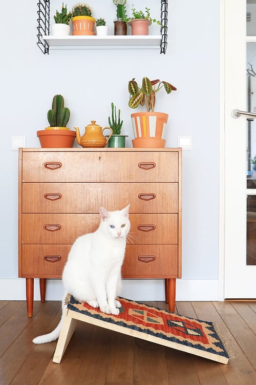 World Cat Day! Make a cat house IKEA