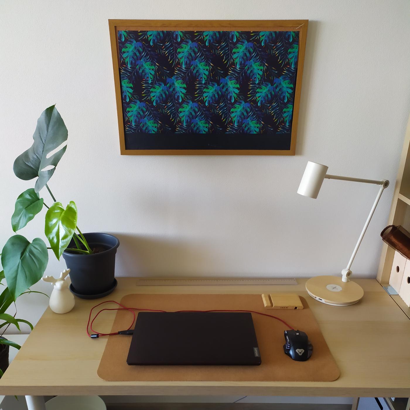 Černý laptop s myší na podložce z korku na pracovním stole. Po pravé straně je bílá stolová lampa, po levé dekorace a rostliny. Na zdi je tmavý obraz se vzorem listí v dřevěném rámu.