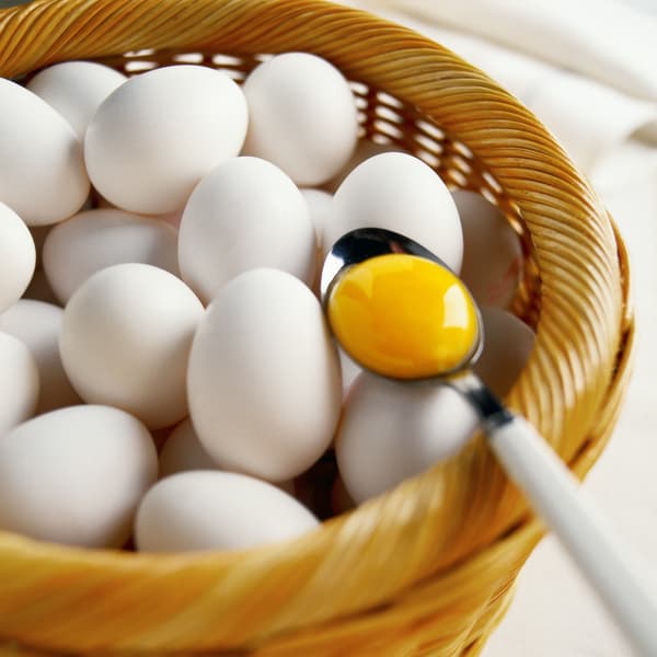 certified cage-free eggs
