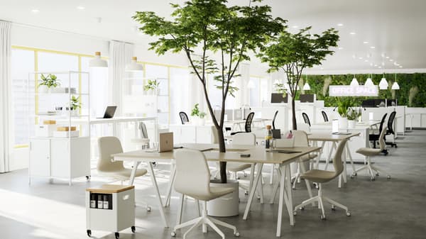 chairs and table in an office