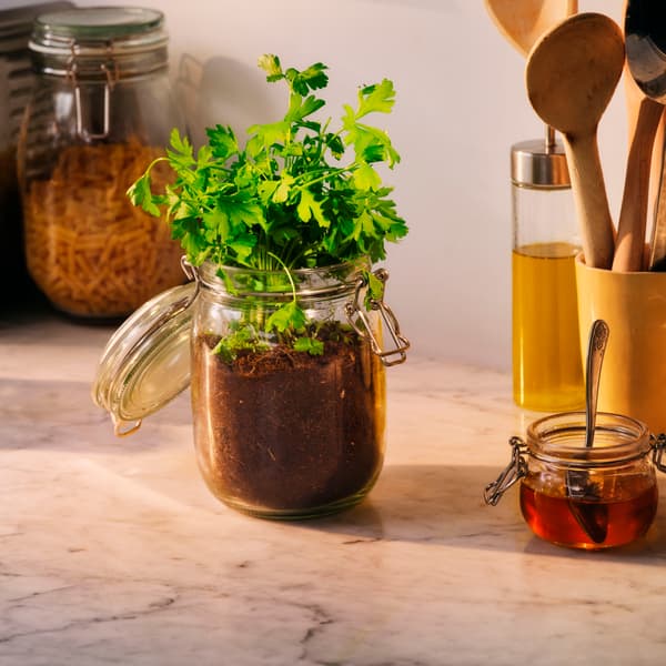 Change a bit for good - tips for living more sustainably