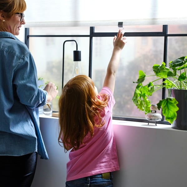Child reaching up to adjust a window blind while an adult stands nearby.