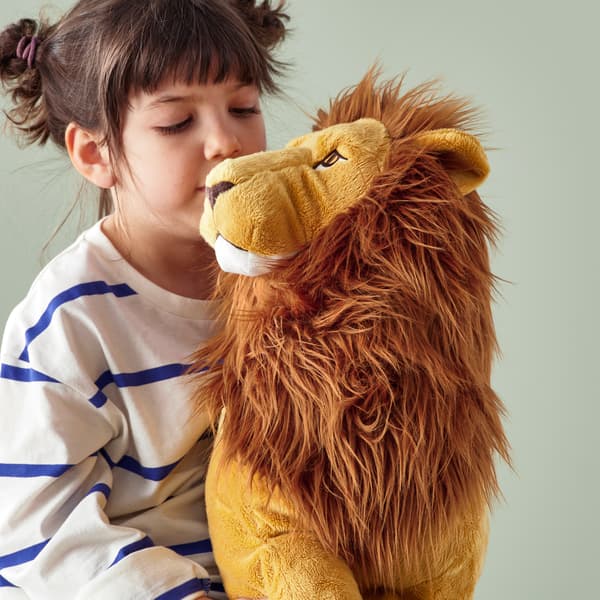 child with lion soft toy