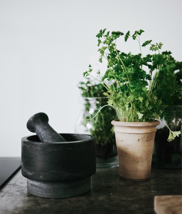 Choose kitchen equipment to match your colour scheme