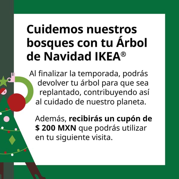 Christmas tree recycle