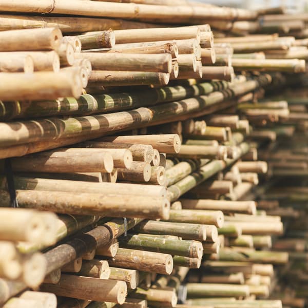 Cientos de cañas de bambú secándose al aire libre en estanterías. Los estantes en los que se secan también son de bambú.