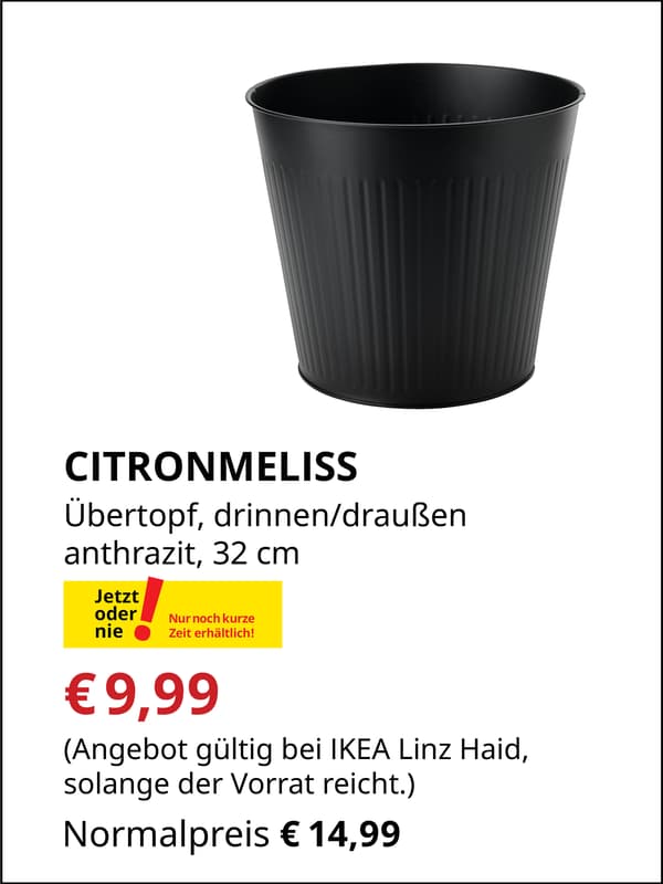 CITRONMELISS Übertopf, €9,99