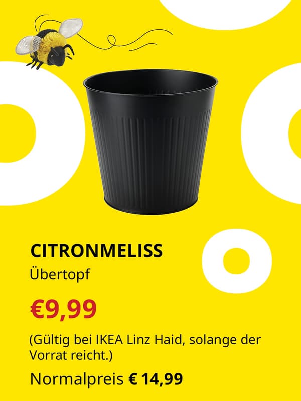 CITRONMELISS Übertopf €9,99 statt €14,99