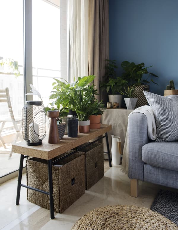 Close-up of a corner of a living room with indoor plants.