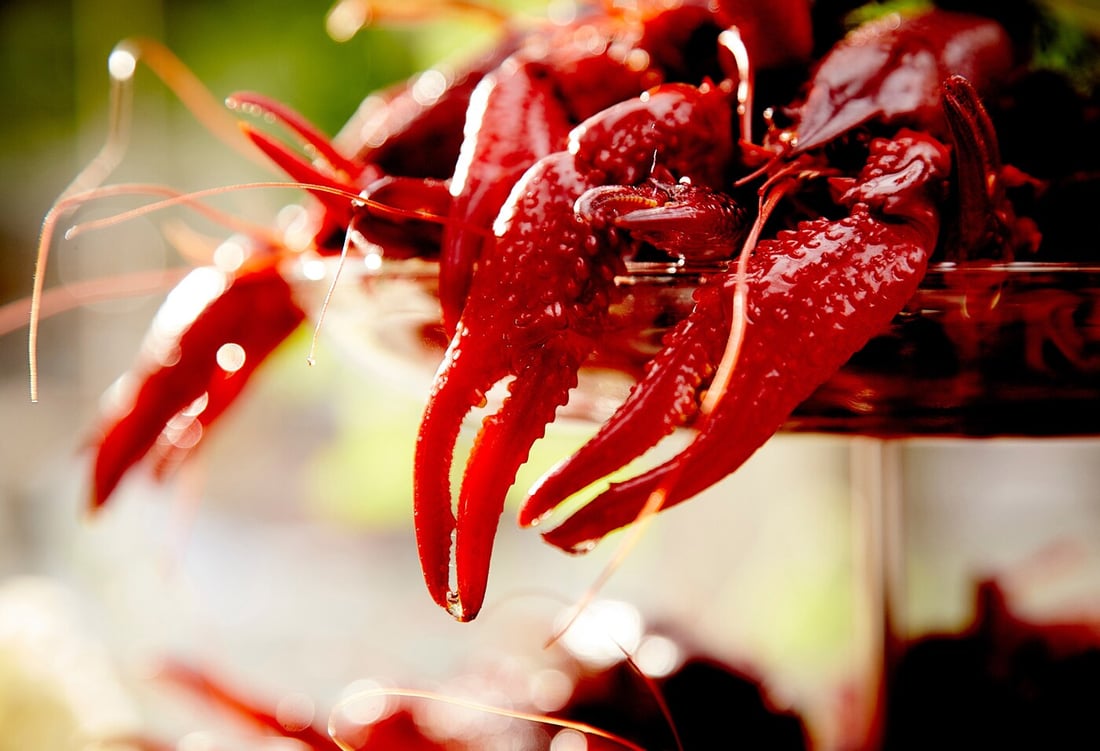 Get creative with these book storage ideas IKEA IKEA Ireland