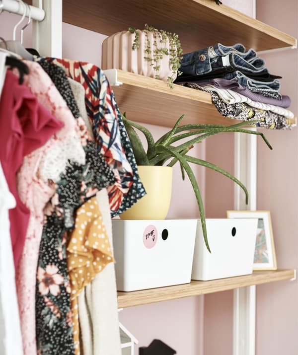 Close-up of open shelves filled with clothes, plants and boxes.