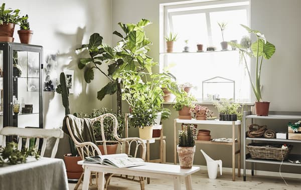 Coin d’un salon généreusement garni de plantes d’intérieur variées.