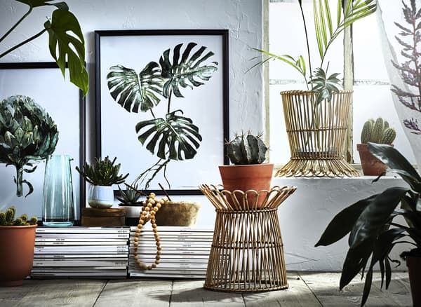 Coin d’un séjour blanc avec plantes en pots et sur des piédestaux en rotin.