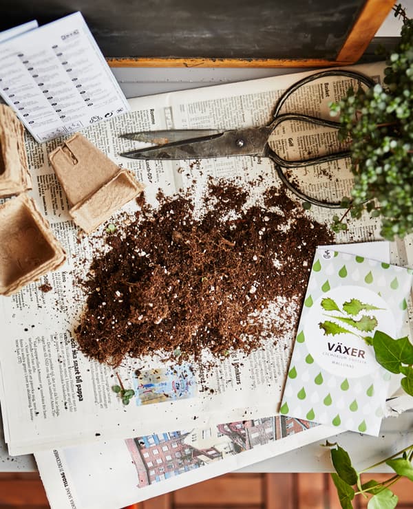 Coin jardinage avec terreau et sachets de semences, vu d’en haut.