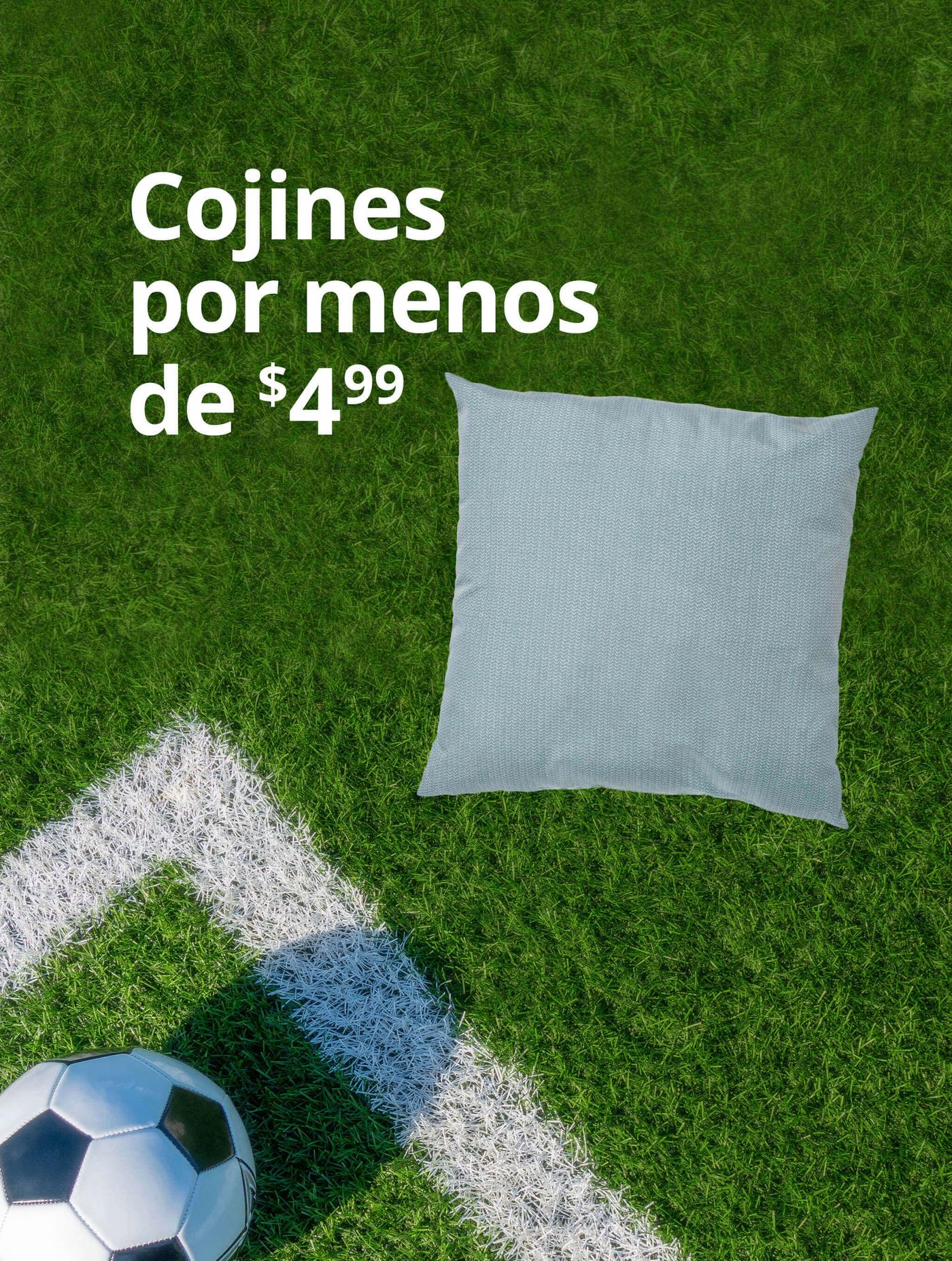 Cojines por menos de $4.99