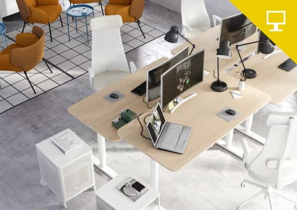 collaborateur 
