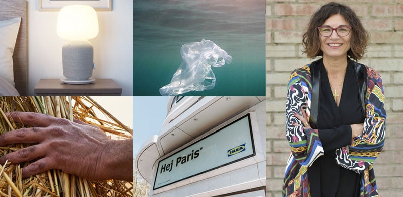 Collage of images- a table lamp, plastic in the ocean, a Woman standing with a smile, a hand holding hay.