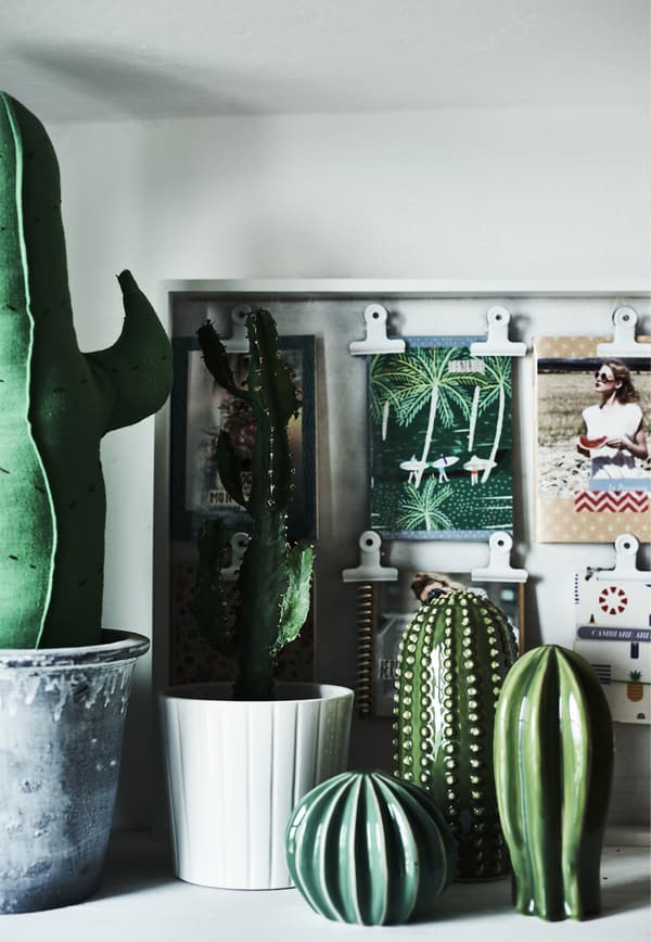 Collection de cactus décoratifs et de cartes postales.