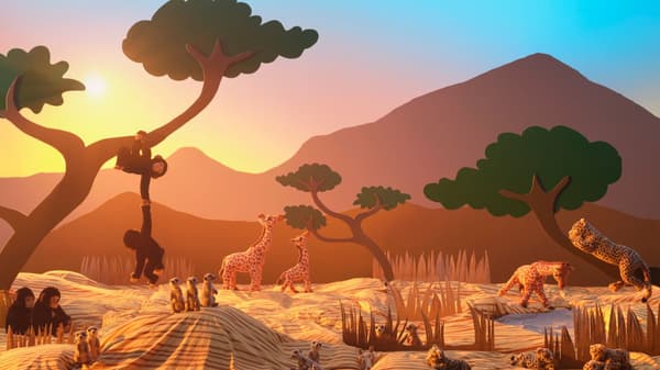 Découvrir la collection