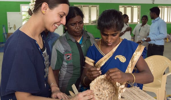 Collections sociales