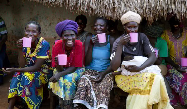 Collections sociales