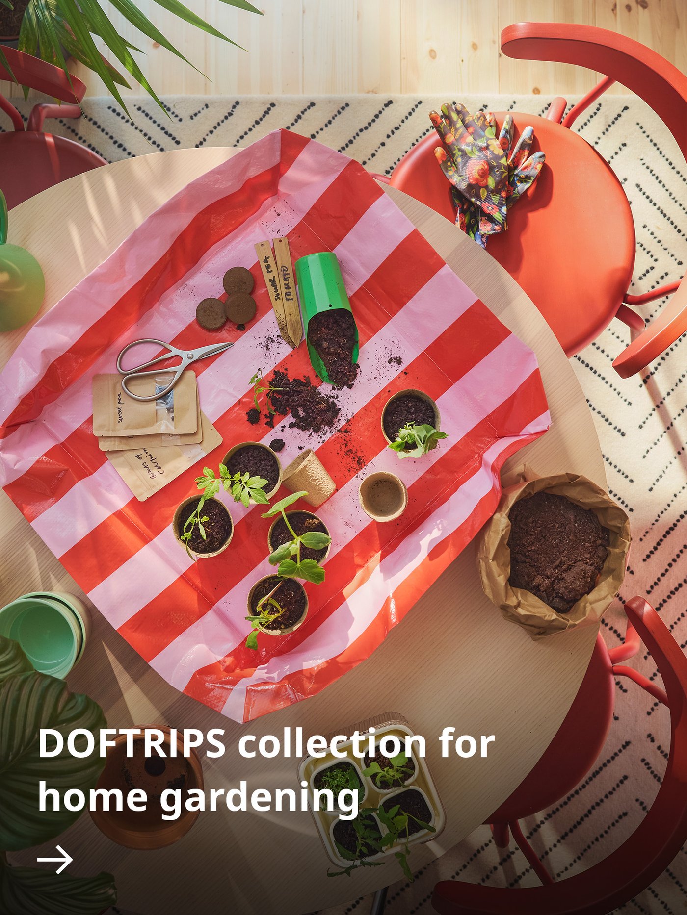 Colorful home gardening tools, pots, and accessories arranged on a striped table.