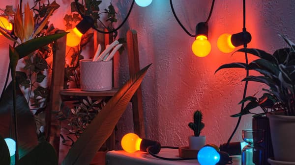 Colorful outdoor string lights lit up.