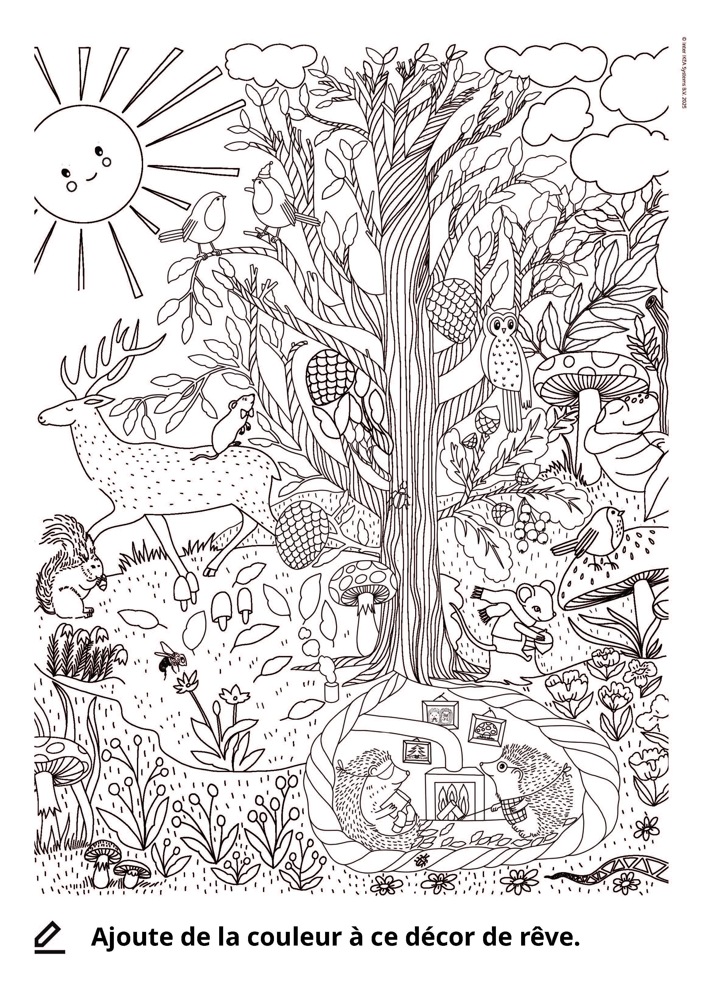 Coloriage d'une forêt