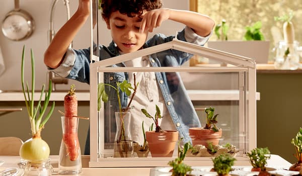 Coltivare le proprie verdure con la coltivazione indoor