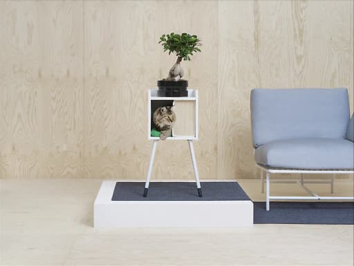 Comfort for your pet and functionality for you
