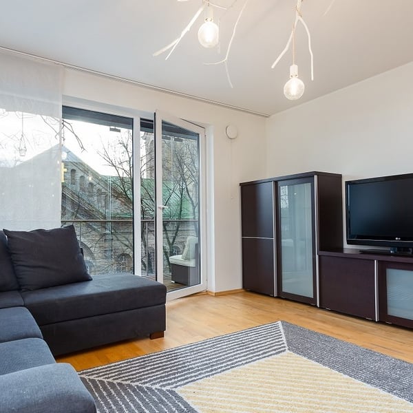 Contemporary living room with dark sofa, TV cabinet, and balcony view.
