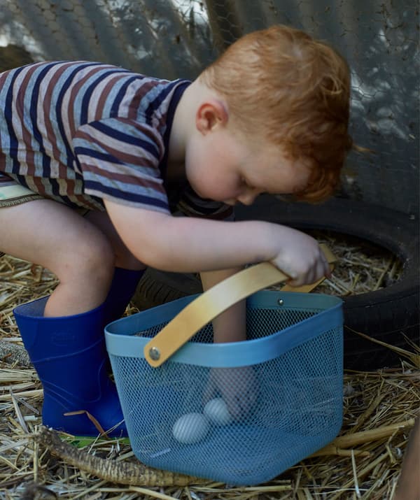 Copil mic punând ouă proaspete într-un coș albastru.