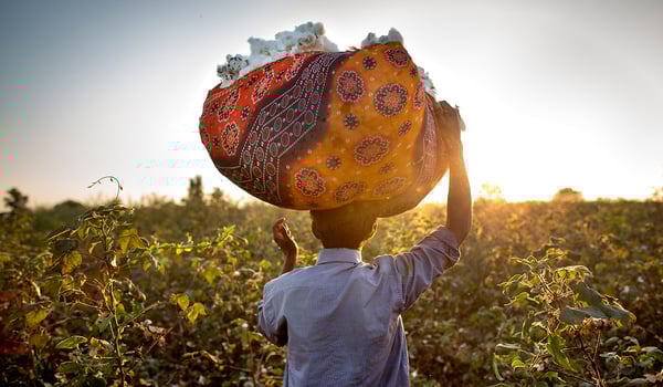 Cotone da fonti più sostenibili