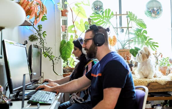 Couple jouant sur ordinateur dans un espace de travail avec étagères, plantes vertes et petit chien.