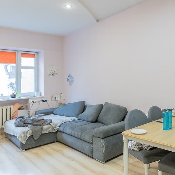 Cozy living room with sofa near window and dining area